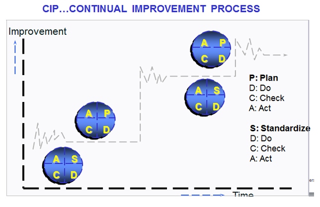 CIP Process